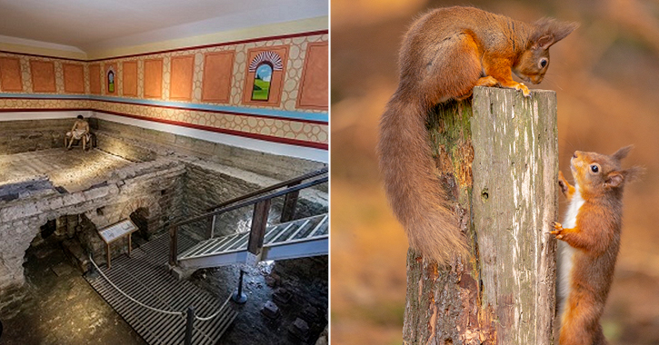 Inside Roman Baths at Binchester Roman Fort and red squirrels 